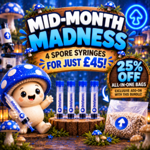 October Mid Month Madness!